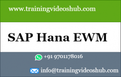 SAP Hana EWM Videos