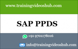 SAP APO PPDS Training Videos.png